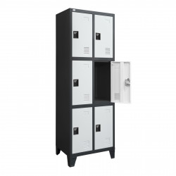 LOCKER ARMABLE 2 CUERPOS 6 TERCIOS PUERTAS BICOLOR GO-A6TP-BC